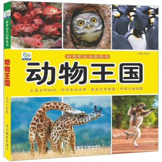《好奇心大百科丛书·动物王国》