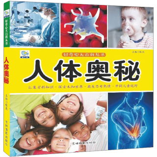 《好奇心大百科丛书·人体奥秘》
