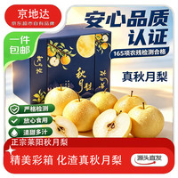 国家补贴:京地达 山东莱阳秋月梨净重4.5斤单果300g+彩箱装生鲜水果源头直发包邮