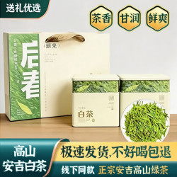 源聞白茶 源聞+安吉白茶+特级100g*2罐