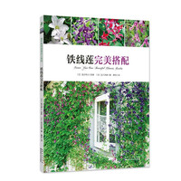 铁线莲完美搭配