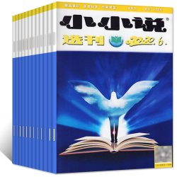 小小说选刊杂志2022年1-20期+2021年1-24期杂志非合订本微型小说散文青年儿童民间故事会文学