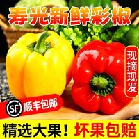 妃尝 山东寿光新鲜彩椒特大150g起红黄五彩椒脆甜不辣圆椒