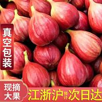 舌尖乡甜 红皮无花果当日现摘鲜果 浙江金华当季应季 2斤装单果40g+ 净重0.8-1斤