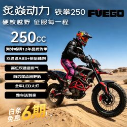 炙焱动力TEKKEN铁拳250 燃油摩托车前后ABS拉力越野性价比玩乐 26款红色