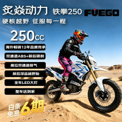 炙焱动力TEKKEN铁拳250 燃油摩托车前后ABS拉力越野性价比玩乐 26款蓝色