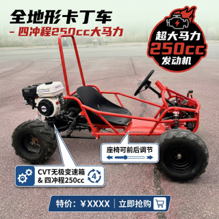 鑫动达 四冲程250cc CVT 无极变箱速卡丁车