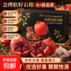 头茬会理突尼斯软籽石榴果园产地直发新鲜水果当季四川石榴包邮 带箱5斤250g+彩箱礼盒净重4.7斤