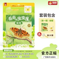 蝴蝶生物认知书 0-9岁儿童科学启蒙绘本 奇奇的虫虫屋系列 广西美术出版社出版