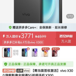 vivo X300 旗舰影像全网通5G拍照手机 X300