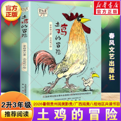 土鸡的冒险 2026年暑假二升三年级必读书目贵州阅美黔贵广西阅美八桂常新港故事书
