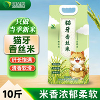 荆华 猫牙香丝米 一级长粒香 5kg 大米