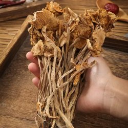 九邑优品 今年新货茶树菇100g