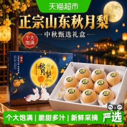 寻天果蔬 山东秋月梨 新鲜水果