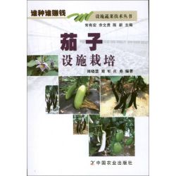茄子设施栽培 周晓慧 刘军 庄勇 著 正版书籍 新华书店旗舰店文轩官网 中国农业出版社