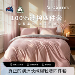 AusGolden 克莱尔 100%贡缎纯棉 40支