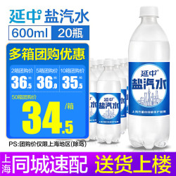 延中 经典原味 盐汽水 600ml*20瓶