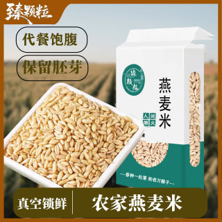 臻颗粒 正宗燕麦米新米全胚芽米五谷杂粮大米燕麦米五谷杂粮真空装 燕麦米5斤