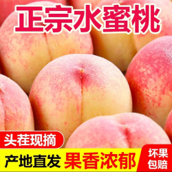 汇果康 现货水蜜桃新鲜当季水果整箱脆甜毛桃包邮应季油密软斤时令桃子斤