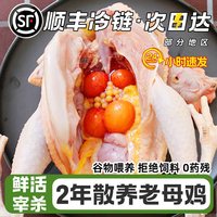 大用好味道 老母鸡土鸡农家散养新鲜整只走地鸡跑山鸡正宗土鸡草鸡