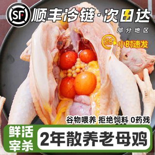 大用好味道 老母鸡土鸡农家散养新鲜整只走地鸡跑山鸡正宗土鸡草鸡