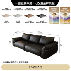 FA SA DI HOUSEHOLD 真皮沙发意式轻奢家用黑色简约直排一字型贵妃位大坐深