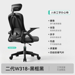 科润 人体工学椅护腰办公椅子舒适久坐电脑椅家用宿舍靠背学习电竞座椅