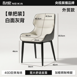 耐家 餐椅2026新款家用靠背凳子现代简约餐桌椅轻奢高级感酒店餐厅椅子