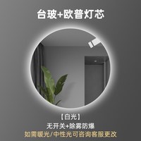 nolsia 圆形镜子卫生间led浴室镜挂墙式洗手间圆镜化妆镜壁挂防雾智能镜