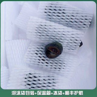 捕渔笙顺丰薄皮脆螺钓鱼饵料鲜活挂钩田螺打窝石螺蛳野钓黑坑水库大青鱼 打窝小石螺3斤 1g