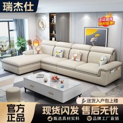 瑞杰仕 布艺沙发客厅小户型简约现代新款棉麻免洗科技布猫爪皮全实木沙发