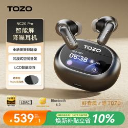 TOZO NC20 Pro 主动降噪 AI翻 锖色 蓝牙耳机