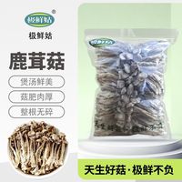 百亿补贴：极鲜姑 鹿茸菌新货鹿茸菇新鲜香菇干货福建特产鹿茸菇煲汤食材250g