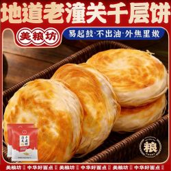 美粮坊 潼关肉夹馍饼胚潼关千层饼批发手抓饼早餐家庭装500g半成品