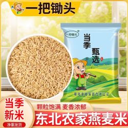 一把锄头 燕麦米 五谷杂粮