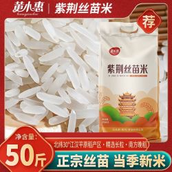 黄小惠 50斤紫荆丝苗米梯田长粒香米新米晚稻煲仔饭炒饭猫牙米批发
