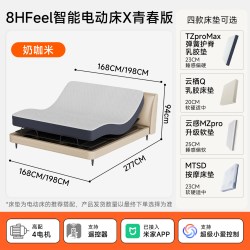 8H 智能电动床DTP1软靠背款卧室双调节多功能双人床1.8米家用