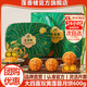 莲香楼 大四喜月饼礼盒 双蛋黄白莲蓉五仁广式传统经典铁盒中秋送礼团购 大四喜月饼600g