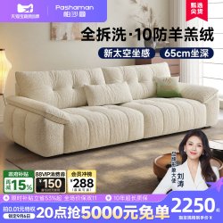 帕沙曼 布艺沙发客厅小户型2026新款现代简约可拆洗云朵直排三人位