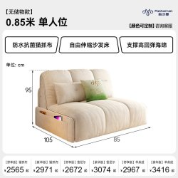 帕沙曼 电动沙发床小户型客厅伸缩折叠两用储物单双人推拉智能沙发