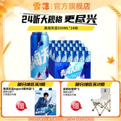 雪花 BEER 雪花 SNOWBEER BEER BEER 勇闯天涯 啤酒 500ml*24听