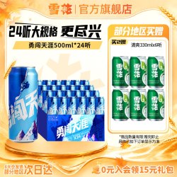 雪花 BEER 雪花 SNOWBEER BEER BEER 勇闯天涯 啤酒 500ml*24听