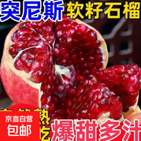 京东 四川会理大凉山应季会理软籽石榴纯甜无酸新鲜可口老少皆宜 5斤装300g