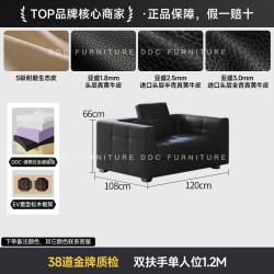 ddc 政府补贴DDC布雷泽真皮沙发新款别墅大平层黑色全青皮沙发极简