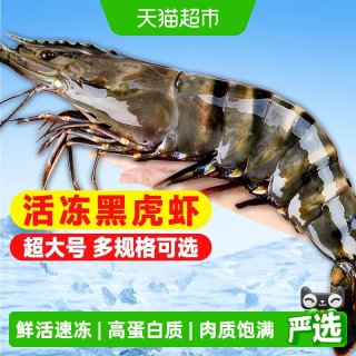 88VIP：天猫超市 顺丰上门黑虎虾鲜活速冻超大老虎虾特大对虾基围虾海虾冷冻九节虾