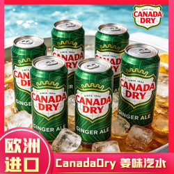 可口可乐 CANADA DRY 姜汁汽水 330ml*6罐