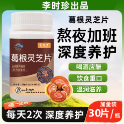 升级款李时珍葛根灵芝片男女中老年熬夜喝酒应酬加班适用御品圣宝