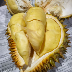 泰国金枕榴莲新鲜树熟A果4~5房果肉整果3~8斤（核大小随机）金枕泰国