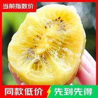 淳果一木 黄心猕猴桃 黄金奇异果金果猕猴桃 新鲜水果 生鲜 水果 12个装单果 50-70克+