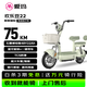 爱玛 欢乐豆22 电动自行车 48V22AH